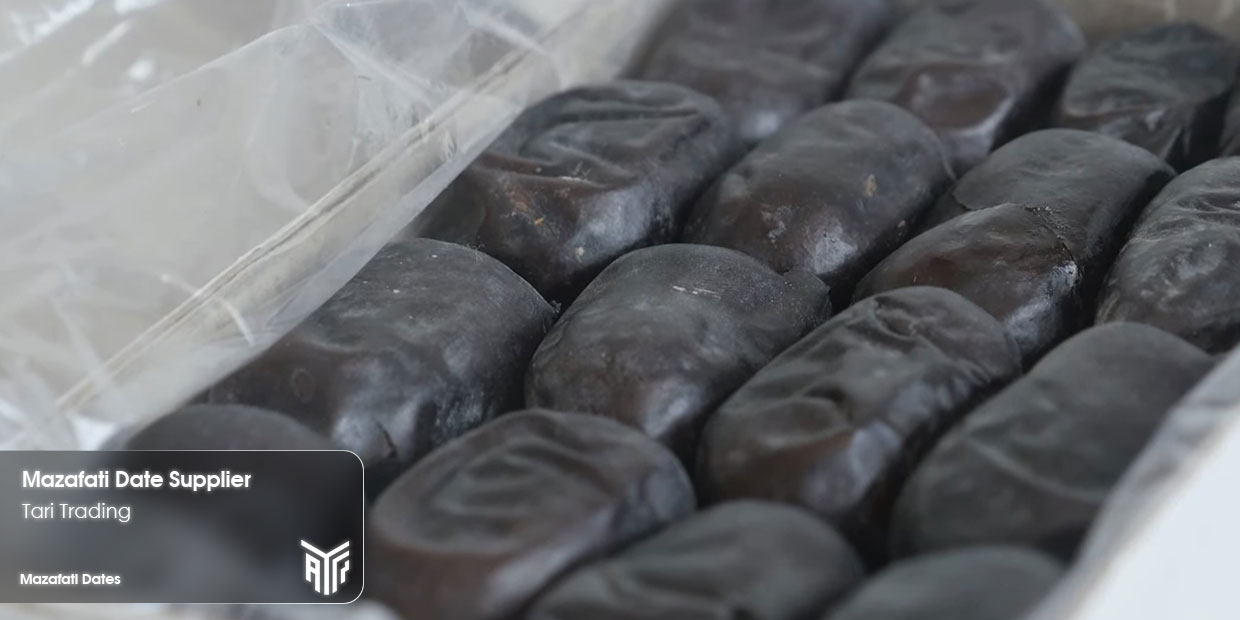 Tari-trading-mazafati-Supplier