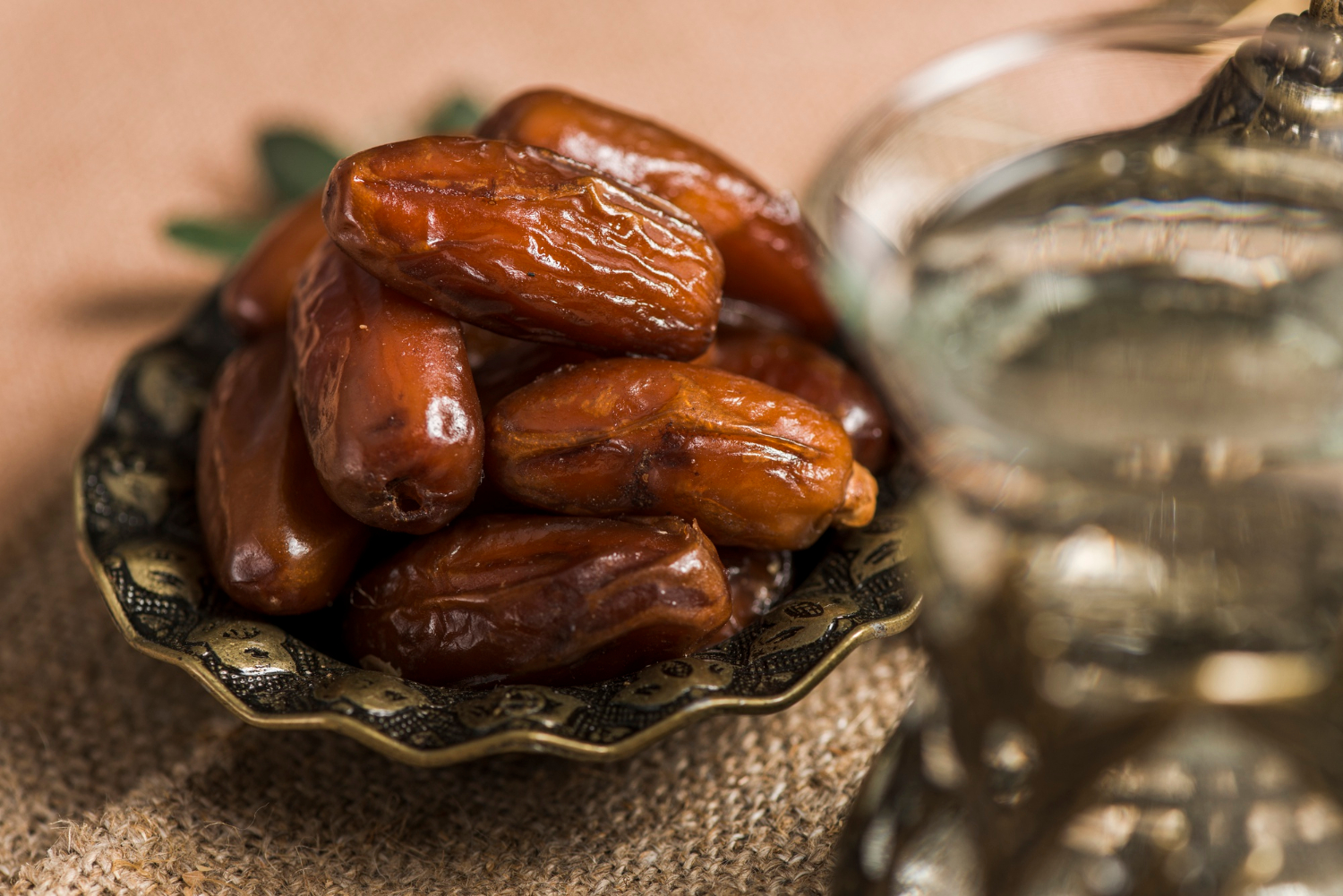 Medjool Dates vs Other Dates What's the Difference? Tari Trading