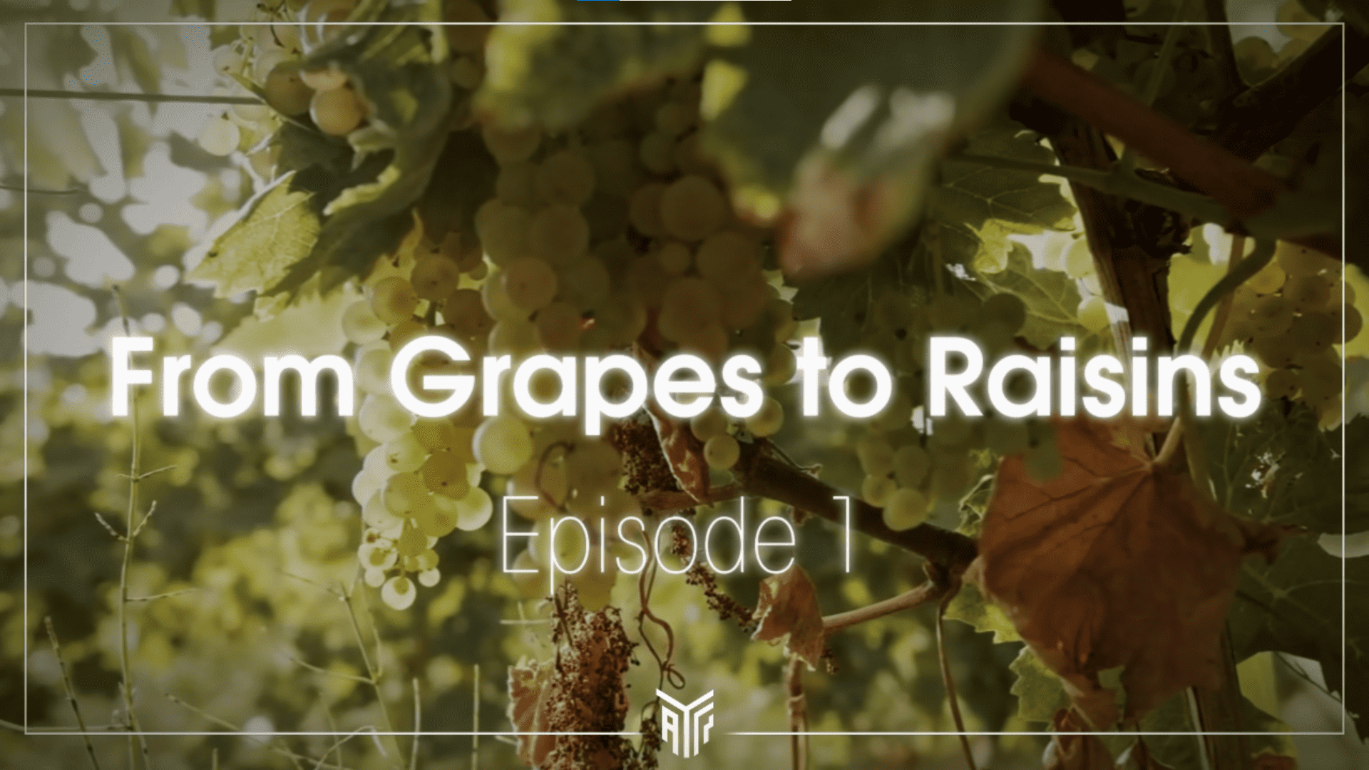 From Garpes to raisins Episode 1