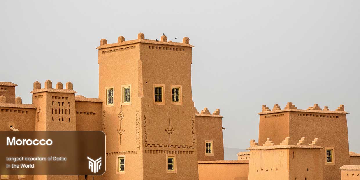 morocco-last-dates-exporter-of-top10-dates-exporters