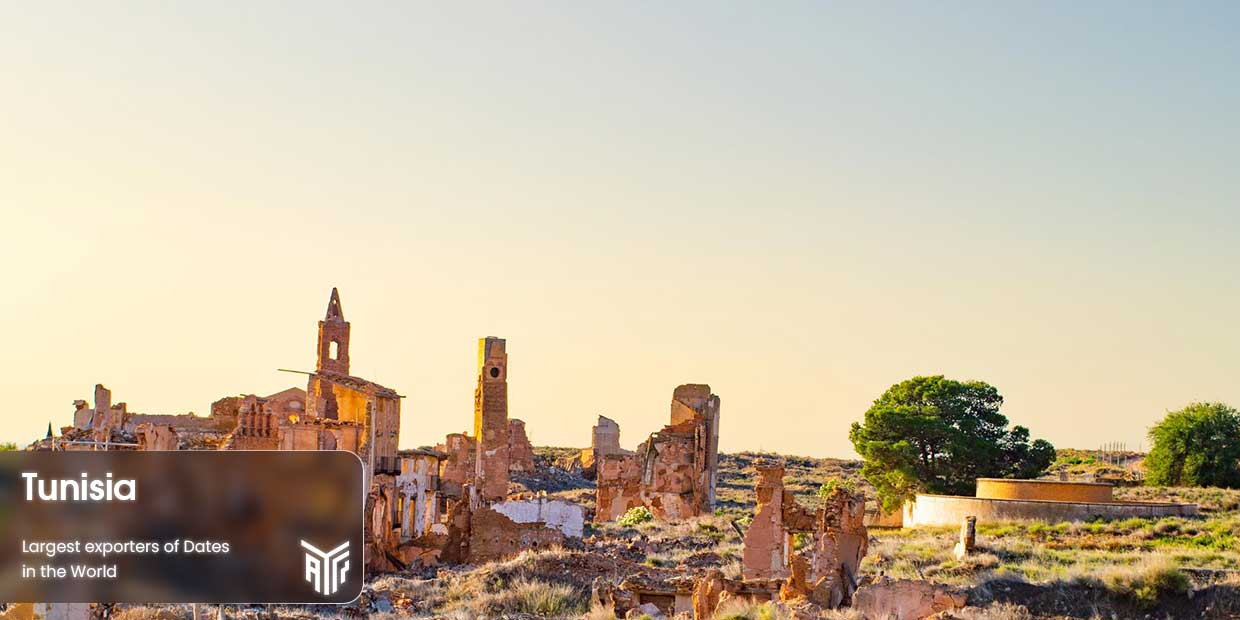 Tunisia-is-exporter-of-tunisian-dates