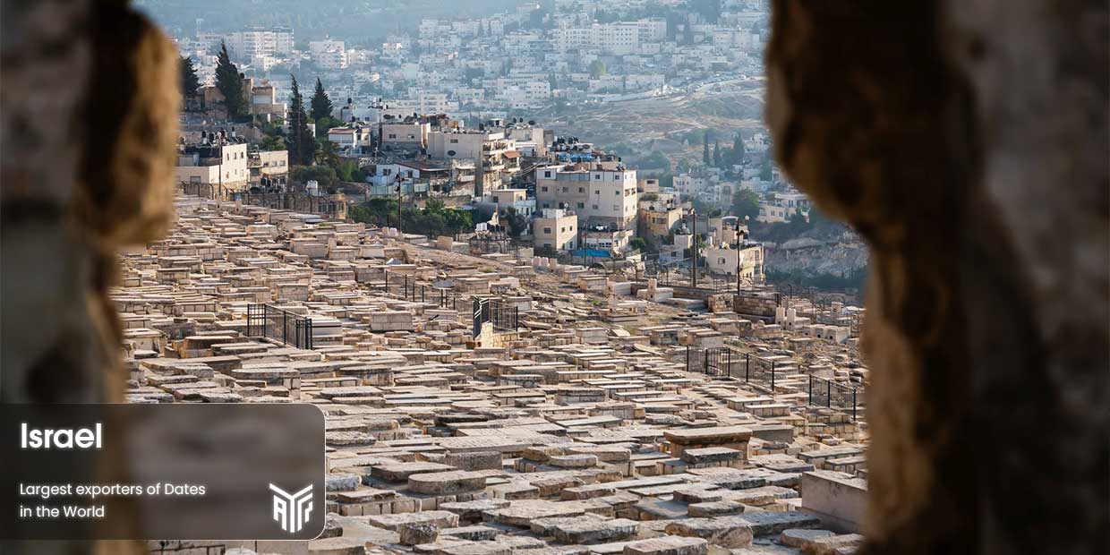 Israel-one-of-largest-prodecers-and-exporters-of-dates-spaitially-Medjool